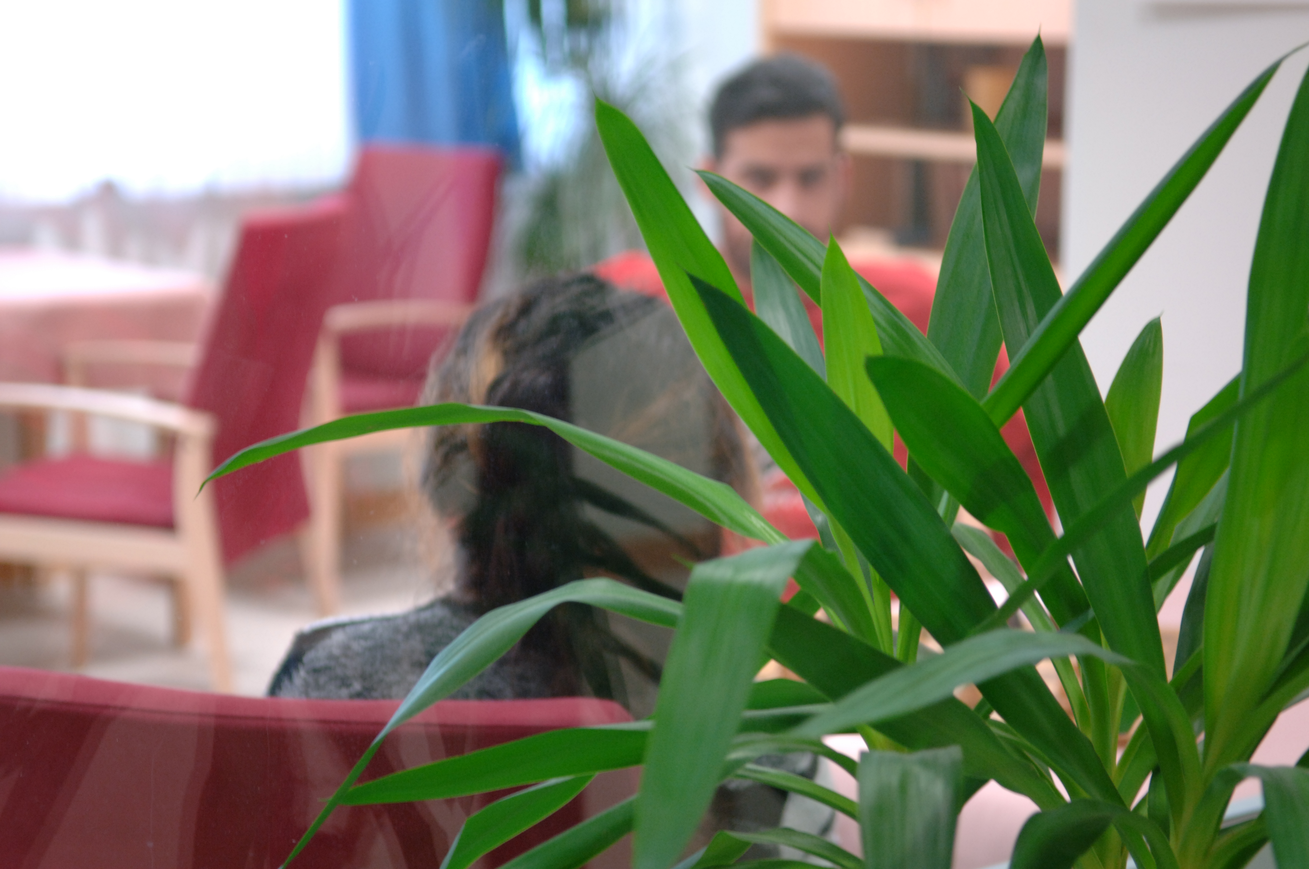 Pflanze im Vordergrund, Männer im Gespräch sitzend im Hintergrund