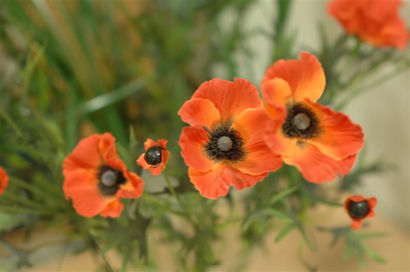 Blumen